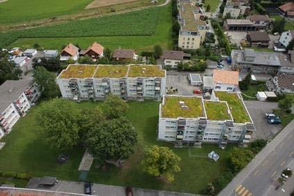 MOST CITIES IN SWITZERLAND IMPLEMENT GREEN ROOFS AS MANDATORY
