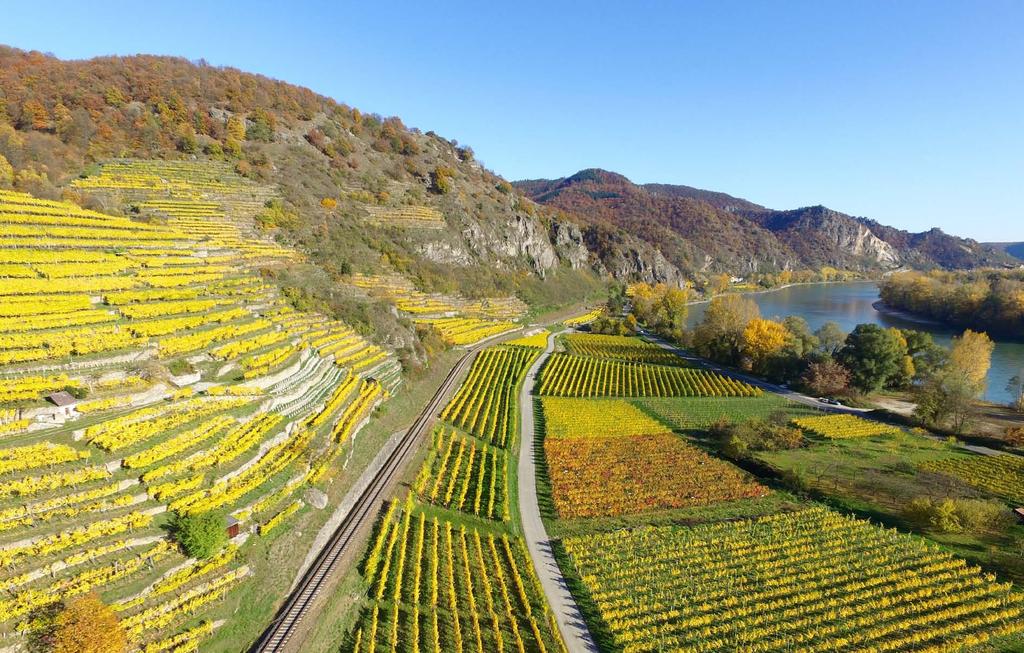 Nicht nur während der Lese im Herbst: Die Weinüberwachung hat Erzeuger und Rebflächen stets im Blick.