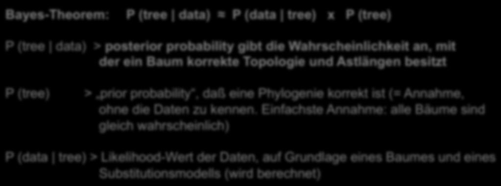 Bayes und Bäume Bayes-Theorem: P (tree data) P (data tree) x P (tree) P (tree data) > posterior probability gibt die Wahrscheinlichkeit an, mit der ein Baum korrekte Topologie und Astlängen besitzt P