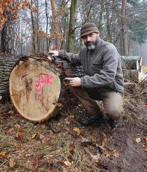 000 m3 Holz pro Jahr Einkauf André Schrape ist unser Holzeinkäufer. Jährlich kauft er ca. 8.000 m³ Holz ein. André, du hast Forstwirtschaft studiert. Du bist mit der Forstwirtschaft bestens vernetzt.