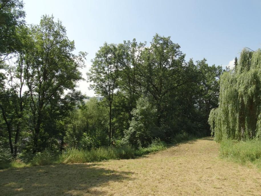 Die Lage: Das tolle, weitläufige Grundstück mit insgesamt ca. 1560 m² liegt verborgen in bester Südhanglage von Rotenburg an der Fulda.