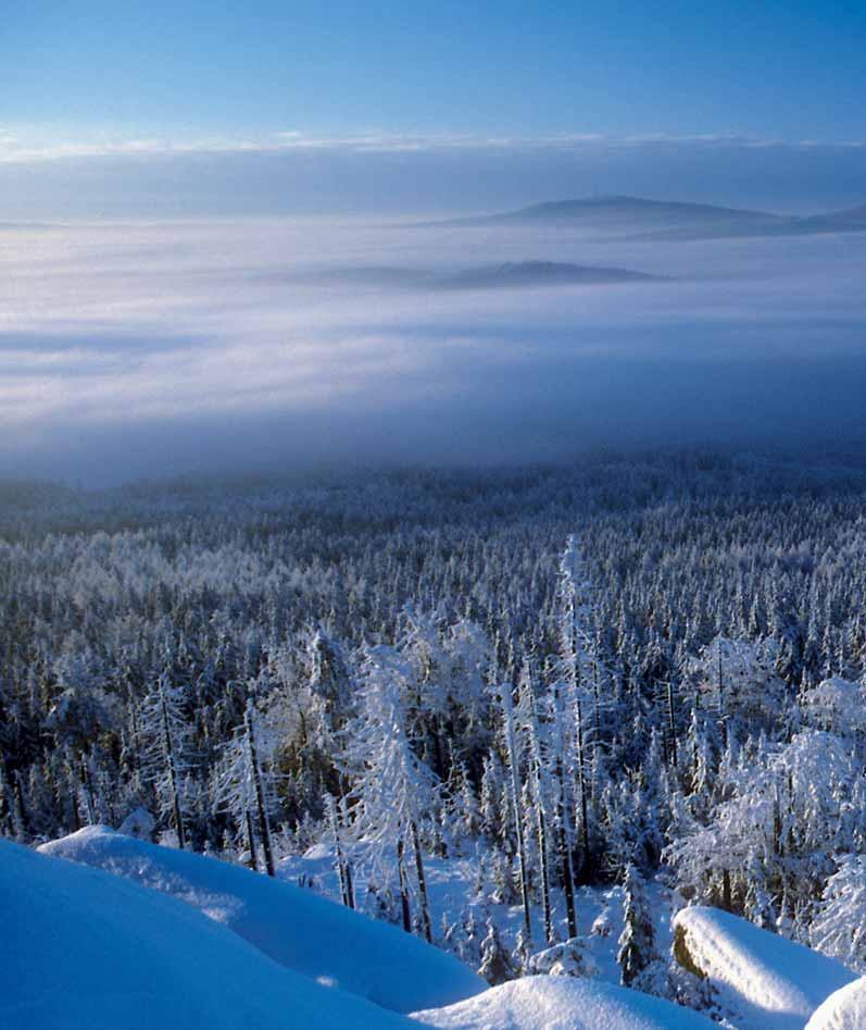 Ein Wintertraum wird wahr Liebe Feriengäste, von der Schneewanderung in unberührter Natur über kulinarische Höhepunkte