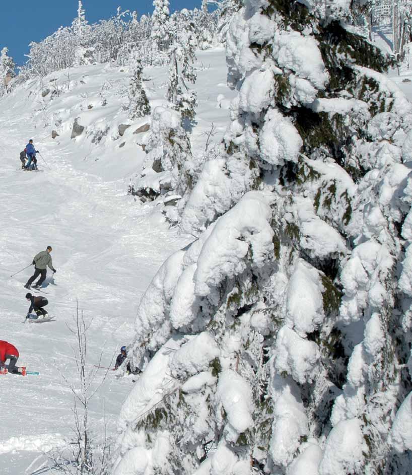 Die örtliche Skischule bringt Skifahrer und Snowboarder aller Altersgruppen in kürzester Zeit in Schwung.