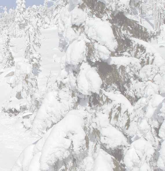 Für Freunde des nordischen Wintersports stehen gepflegte Loipen unterschiedlicher Schwierigkeitsgrade zur