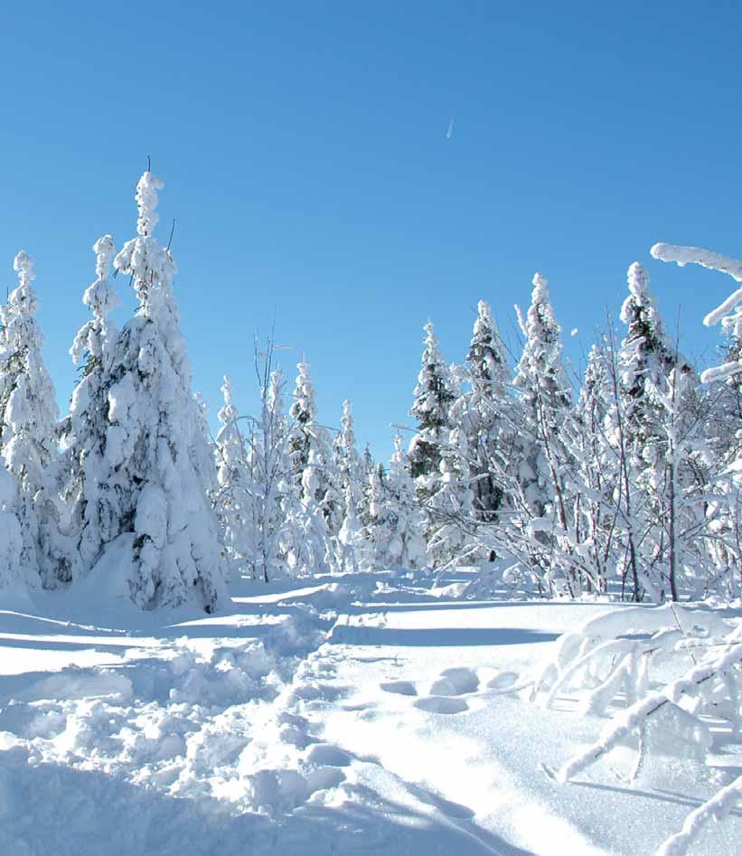 05 Erlebnis Ochsenkopf - die Region Winterzauber, der betört Im Winter verwandelt sich die Erlebnisregion Ochsenkopf in eine glitzernde Kristalllandschaft und sorgt mit seinen schneesicheren