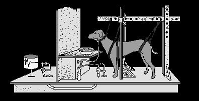 Abläufen im Verdauungssystem: Hunde als Versuchstiere zufällige Entdeckung des Phänomens, das heute als Lernvorgang des klassischen