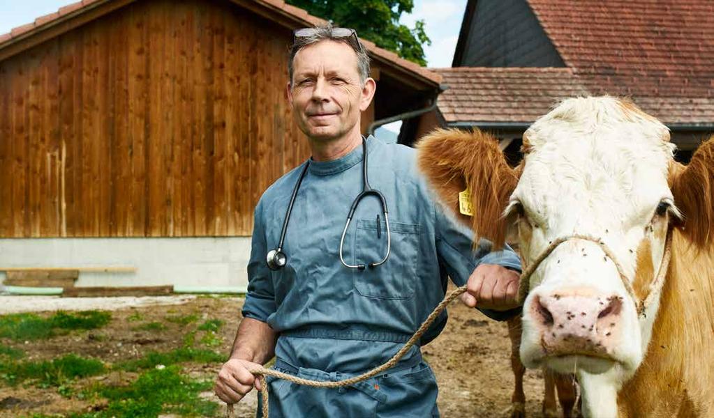 «Sensibilität und Wissen über Antibiotika und resistente Keime sind in der Tierärzteschaft stark gewachsen. Tierärztinnen und Tierärzte arbeiten gezielt an einer Senkung von Antibiotika- Anwendungen.