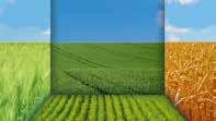 Getreideherbizide Frühjahr Nachhaltigkeit Leguminosen Rüben Kartoffeln Mais Stickstoff-Management Raps Getreide Unkraut- und Ungrasbekämpfung in Getreide im Frühjahr Segment Einsatzkulturen Sehr