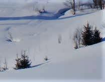 Der Fichtelberg und das benachbarte Skigebiet Klinovec in Tschechien bieten für Langläufer, Abfahrtsläufer und Snowboarder eine hohe Schneesicherheit.