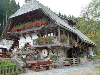 Gemeinsam machten wir erst einen kleinen Spaziergang im herbstlichen Wald, danach gab es viele Tiere zu besichtigen und das Kulinarische kam auch nicht zu kurz,