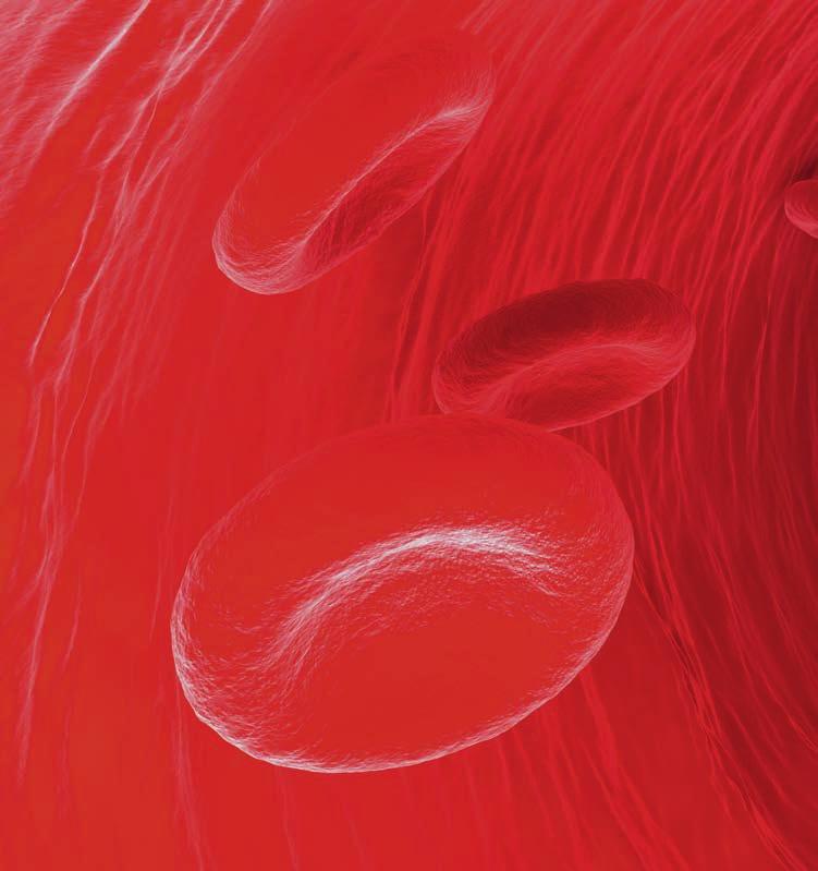 Bild: Getty Images/istockphoto/spanteldotru Alarm in der Blutbahn Wenn sich Gefäße zum Aneurysma weiten Sie sind nicht zu unterschätzen: Aneurysmen.