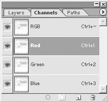 Kanäle Ein RGB-Bild besteht aus drei Kanälen: rot, grün und blau. Die Graustufenbilder geben jeweils die Intensität der einzelnen Farbe an. Weiß bedeutet geringe Intensität, schwarz hohe.