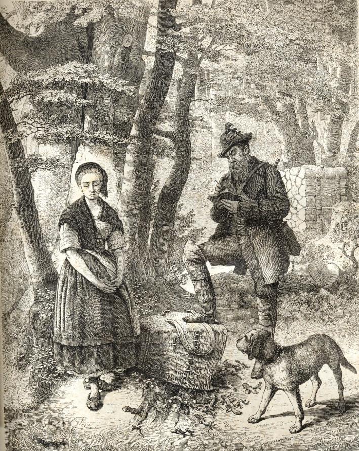 19. Jahrhundert 1842 Straftaten (Forstfrevel) im Wald: Das Leben im Spessart war zur damaligen Zeit sehr hart. Die kargen Böden gaben kaum Ertrag. Hungern war an der Tagesordnung.