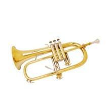 3. Die Blechblasinstrumente Trompete Posaune Horn Tuba Alle Blechblasinstrumente sind aus Metall (Messing) und haben ein abnehmbares Kesselmundstück.