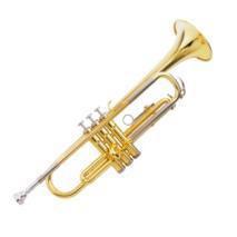 Die Blechblasinstrumente Zu den Blechblasinstrumenten gehören: Horn Trompete Posaune Tuba Trompete Tuba Ursprünglich konnte der Spieler nur durch Spannung der Lippen verschiedene Töne Naturtöne