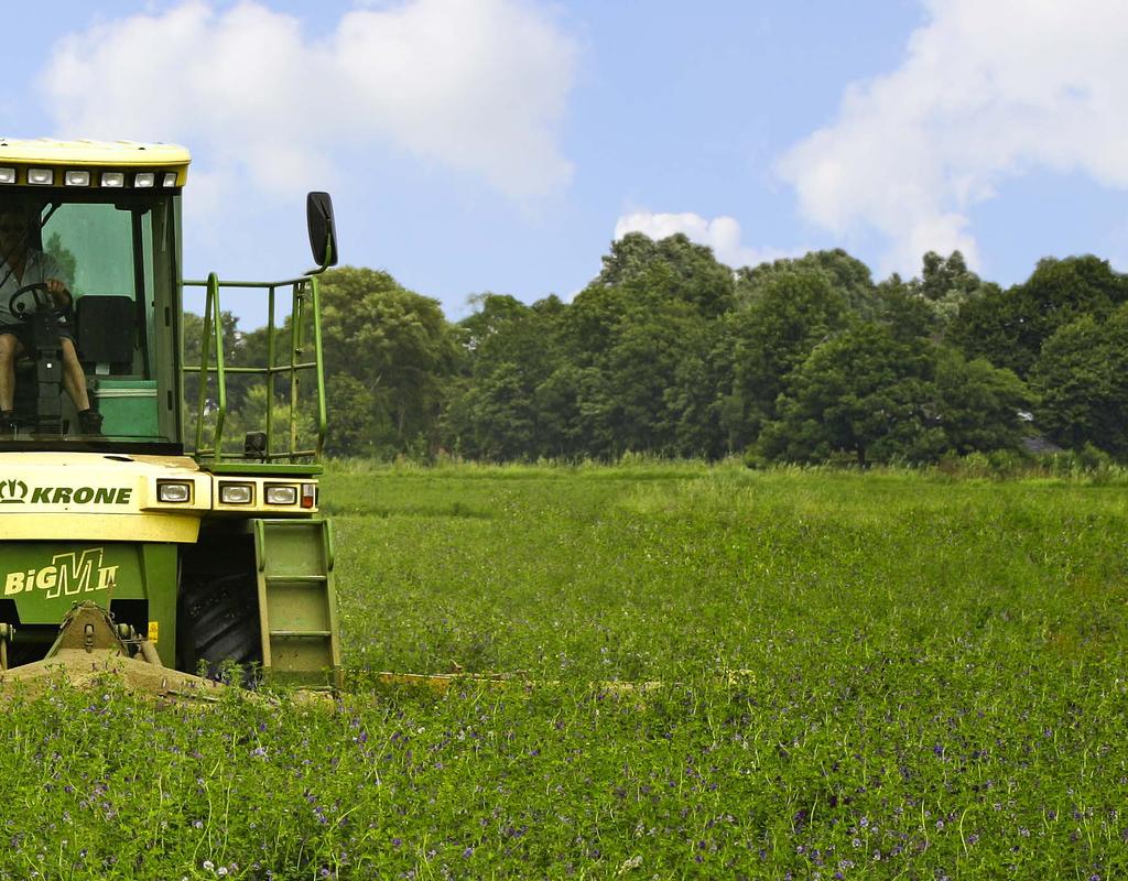 Etablierung und Trockenmasseertrag Eine Studie von Barenbrug Research in den Niederlanden zeigt die Vorteile von Yellow Jacket-beschichtetem Saatgut in Bezug auf Etablierung, Bodenbedeckung und vor