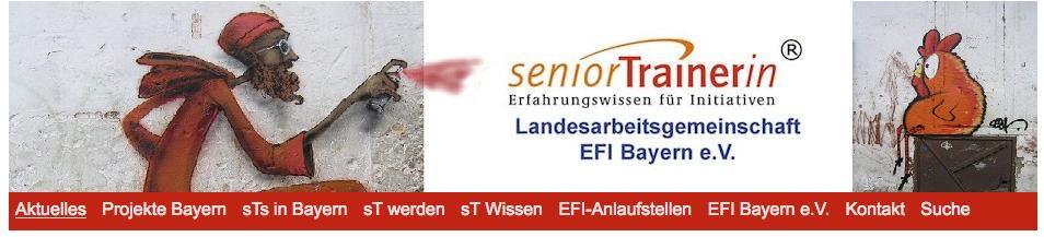 Die Website EFI Bayern e.v.