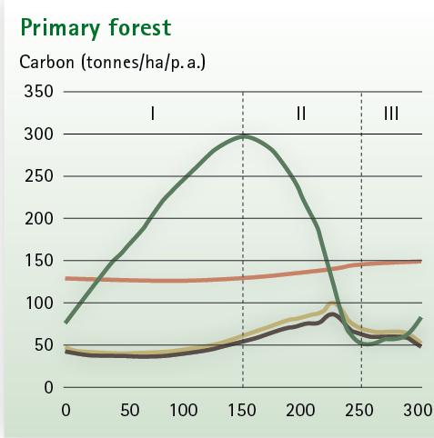 Vergleich Urwaldzyklus (300 Jahre) mit Umtriebszeit im