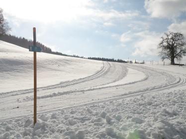 Im Winter locken die Skilifte in Sternenberg, Fischenthal, Steg und Bäretswil.
