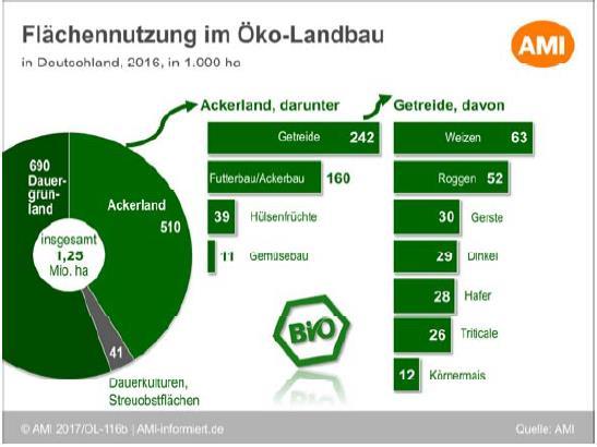 Öko-Anbauflächen in Deutschland