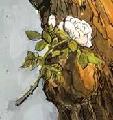 Ohne groß nachzudenken, streckte Immy den Arm ganz weit aus und tat etwas, das sie sich bislang nicht getraut hatte sie berührte den Baum. Sie griff nach dem erstbesten Zweig.