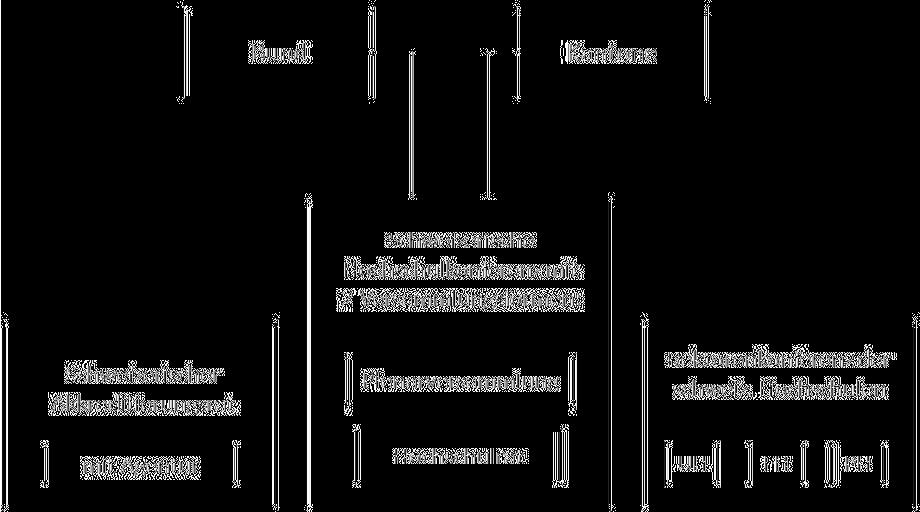9 Gemäss HFKG präsentiert sich die künftige Organstruktur so: Grafik 2: Künftige Organisationsstruktur 1.