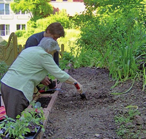 24 Gartentipp Der Garten als Freiraum für Demenzkranke Promotion Menschen mit Demenz erleiden im Verlauf ihrer Krankheit zunehmend Einschränkungen in der Kommunikation und Alltagsgestaltung.