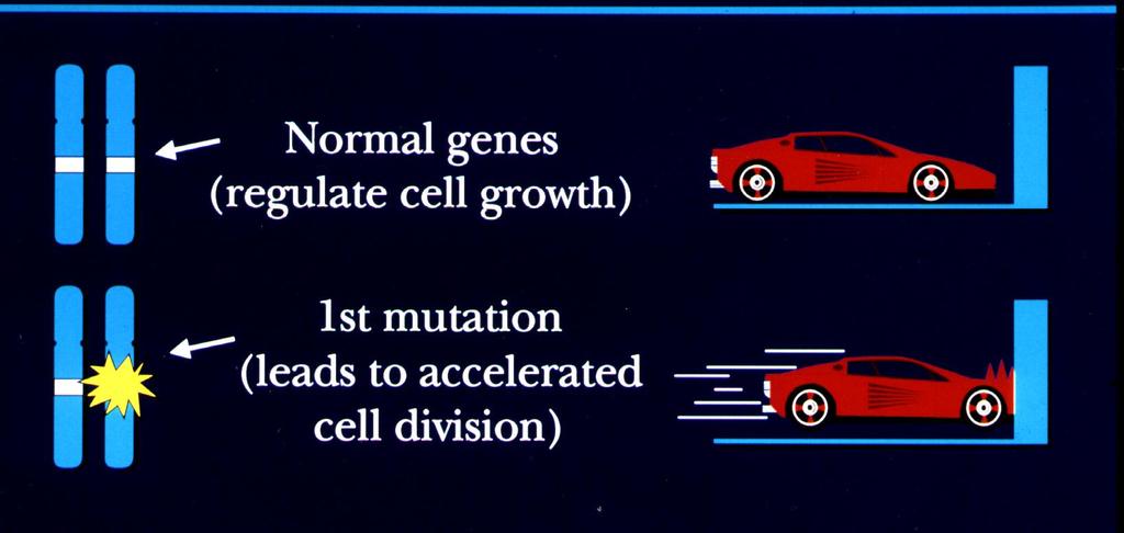 Onkogene KINDERKREBSINITIATIVE BUCHHOLZ Holm-Seppensen (KKI) Normale Gene