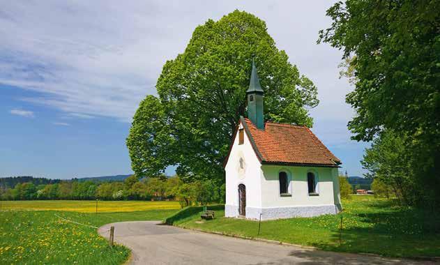 102 Bayrischzell Gmund-Dürnbach Hausham Holzkirchen-Otterfing Miesbach Schliersee Im Tegernseer Tal vhs Miesbach e.v. Tel. 08025 7000-70 www.vhs-miesbach.