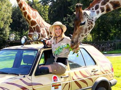 4 Tage Adventure im Safari Park HIGHLIGHT! Für alle die das Abenteuer lieben und Tiere toll finden.