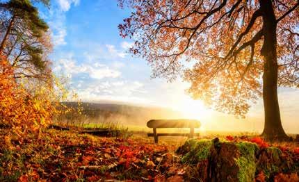 Herbstliche Auszeit Den Herbst genießen Auszeit für Körper und Seele Wintertraum Der Kälte entfliehen die Seele baumeln lassen 3 Übernachtungen in der gebuchten