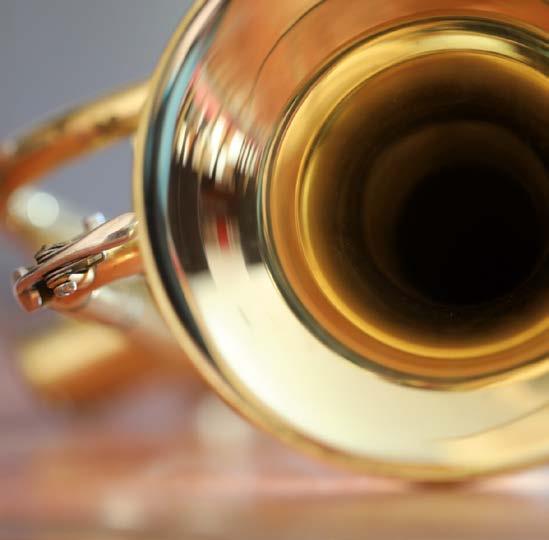 44 e Concours Suisse de Brass Band 44.