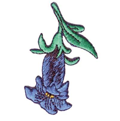 Edelweiss 6 x 4,5 cm