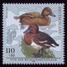 Vogelarten 1998 28.
