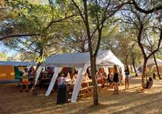 Wir bauen unsere Camps unter Schatten spendenden Bäumen auf einem separaten Teil des Campingplatzes auf.