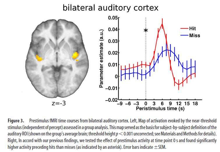 Schall unter der Hörbarkeitsgrenze erregt das Gehirn und beeinflusst unbewusst unser Denken, unser Gefühl unsere Sinne Sadaghiani, S., G. Hesselmann, and A.