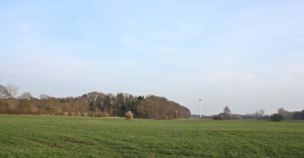 4 Untersuchungsgebiet 13 Abb. 2 : Grünland mit angrenzenden Feldgehölzen (Kuhlaer Wald) und bestehender Windkraftanlage im Süden des Untersuchungsgebiets.