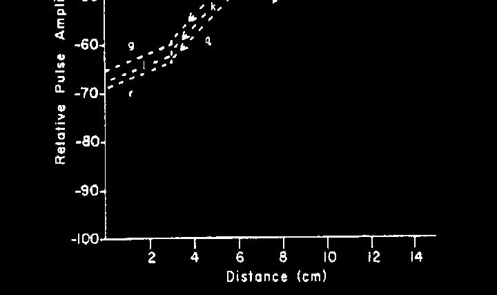 Echosignal. Die Verstärkung der Echosignale aus immer größeren Tiefe ist immer stärker.