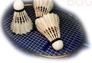 BEWEGUNG UND GESUNDHEIT Badminton-Treffs Badminton kann sowohl von zwei als auch von vier Spielern als Doppel oder Mixed gespielt werden.