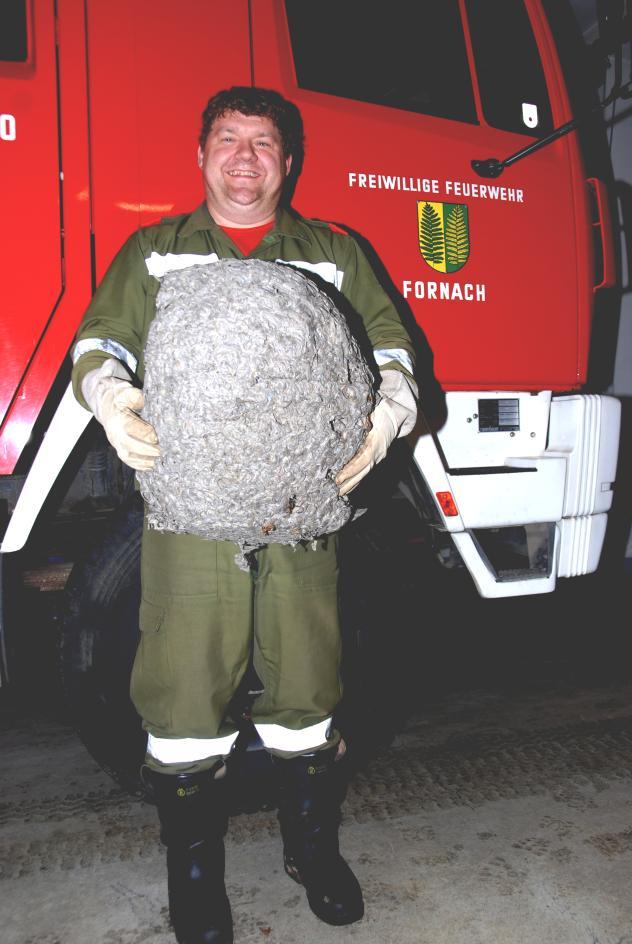 E I N S Ä T Z E Wespeneinsätze Auch im Jahr 2013 wurde die Freiwillige Feuerwehr Fornach zu zahlreichen Wespeneinsätzen gerufen.
