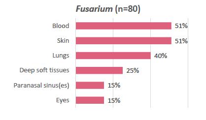 Fusariose klinische Bilder Meist oberflächlich und subkutan (45%) Haut 16% Auge 17% Nägel 8%