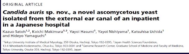 2009 erstmalig in Japan beschrieben Nachweis im äußeren Gehörgang Erster Fall aber bereits früher (retrospektiv): 1996