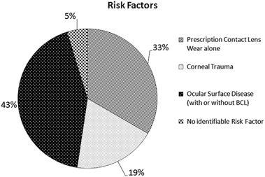 Risikofaktoren 33% KL ohne andere Risikofaktoren 19% Verletzungen 43% bereits bestehende