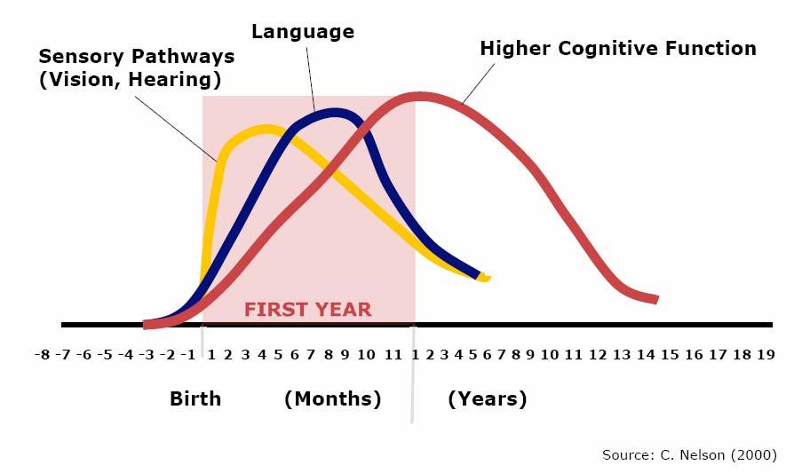 Warum Schwerpunkt Frühe Kindheit http://developingchild.harvard.