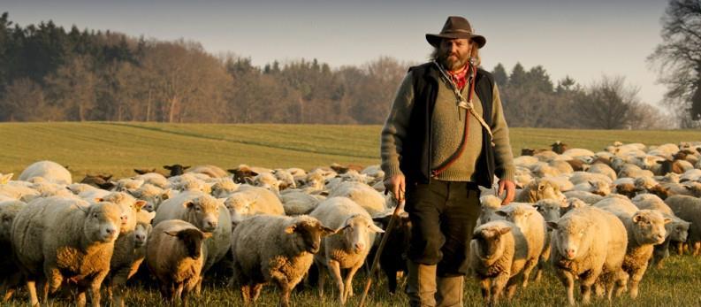 10. Dezember: Ein guter Hirt achtet besonders auf die Kleinen und verletzlichen Schafe