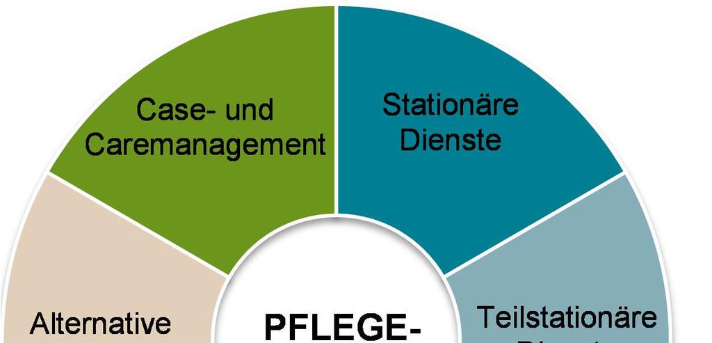 PFLEGE PFLEGE 1. Leistungsspektrum Die öffentliche Finanzierung des österreichischen Pflegesystems basiert auf einer Kombination von Geld- und Sachleistungen.