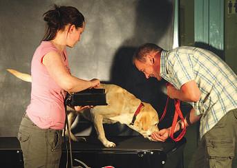 Aus dem Verband Bei strahlendem Sonnenschein wurde am 6. Juni 2010 der erste Tag des Hundes gefeiert.