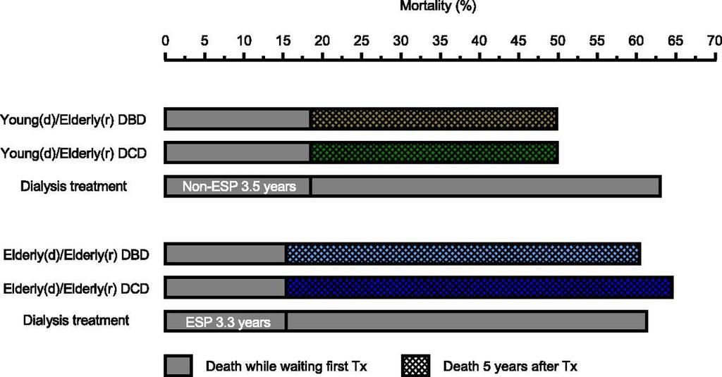 Mortality of elderly patients from start of dialysis treatment and active registration on the waiting list for first transplantation, with inclusion of