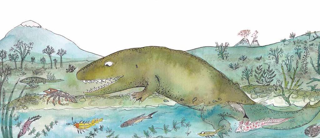 Lurch des Jahres 2019 Ichthyosaura alpestris Dir ist sicher gleich der wissenschaftliche Name unseres Bergmolchs ins Auge gesprungen. Du glaubst, es geht um einen Fischsaurier?