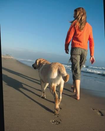 Dog 7 Balance HYPO-SELECT PRO-INSECT ist die optimale Alternative zur Ernährung von Hunden mit Intoleranz-Erscheinungen.